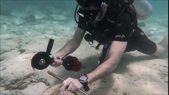 水下砂轮机- AG-22V-6Li-50-V2 - Nemo Power Tools - 电动/ 直角